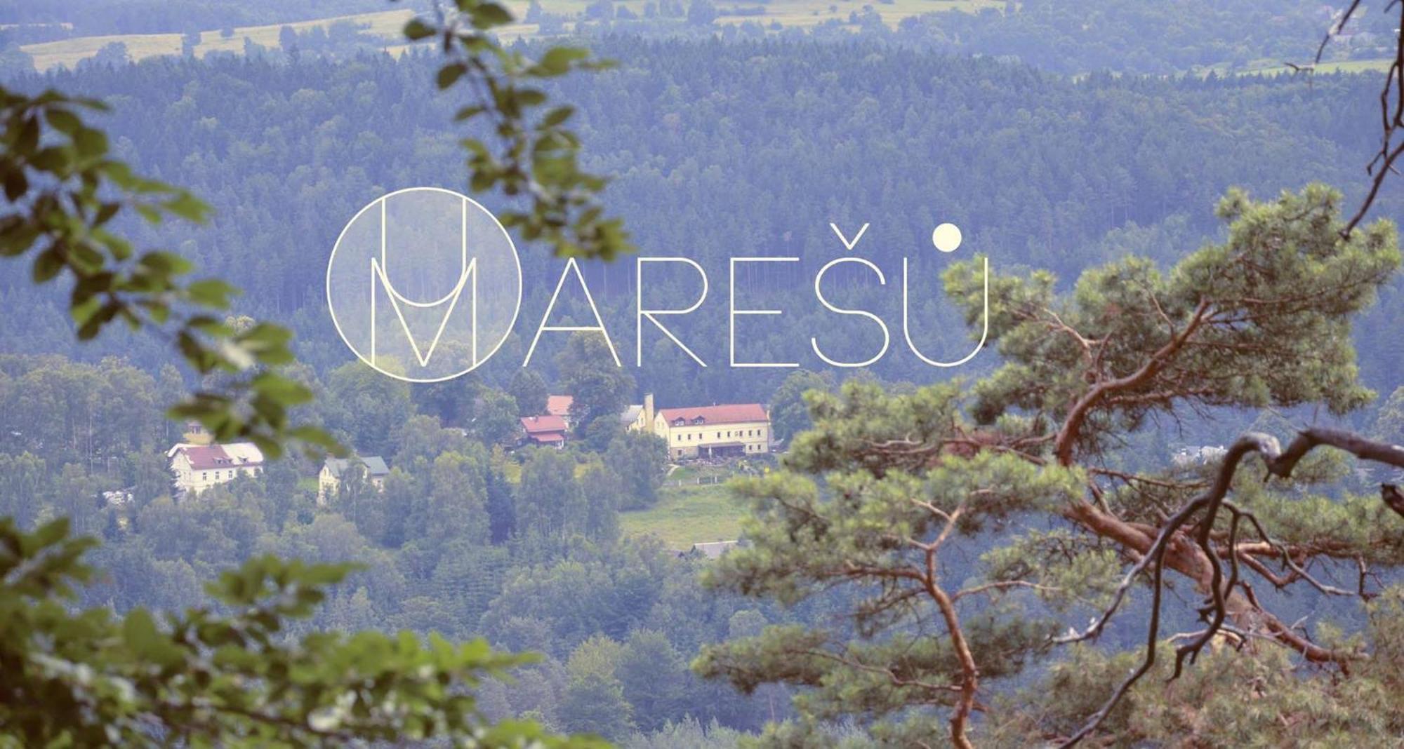 Penzion U Maresu Хренско Экстерьер фото